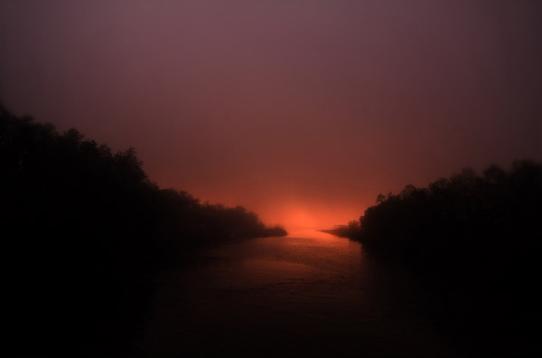 Danube Delta - image by Amanda Lia Rogers