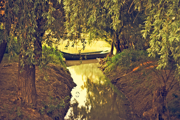 Danube Delta - image by Amanda Lia Rogers