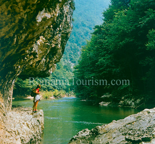 Carpathian Mountains Image