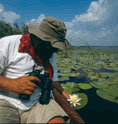 Visit the Danube Delta