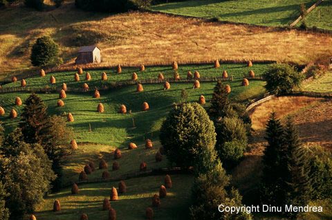 Bucovina - Humor Area,  Romania Image