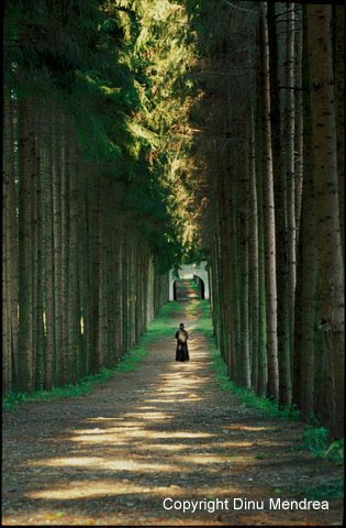 Bucovina - Slatina Monastery,  Romania Image