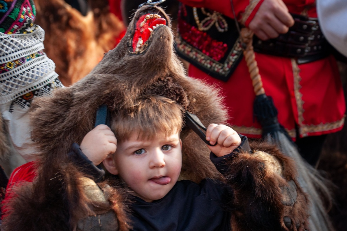 bear-dance-comanesti-romania