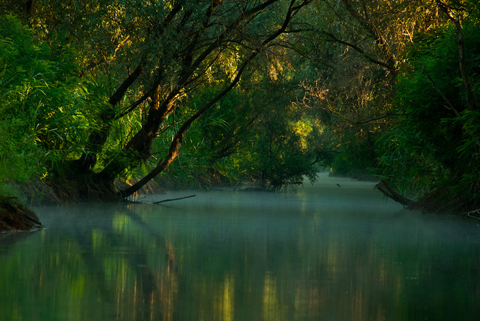 Danube Delta, ROMANIA