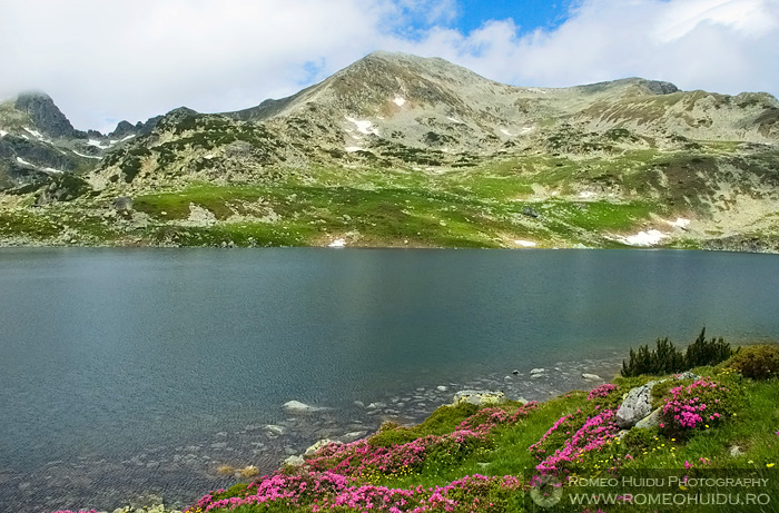 Retezat National Park - The Carpathian Mountains, ROMANIA